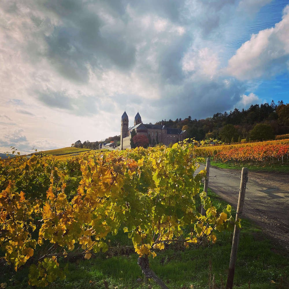 Rheingau